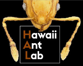 Hawaiʻi Ant Lab