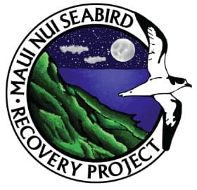 Maui Nui Seabird Recovery Project