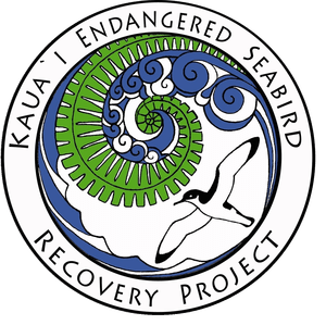 Kauai Endangered Seabird Recovery Project